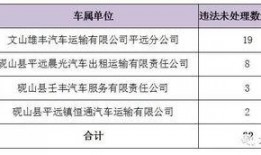 文山最新爆料台,揭秘幕后真相，带你走进事件核心